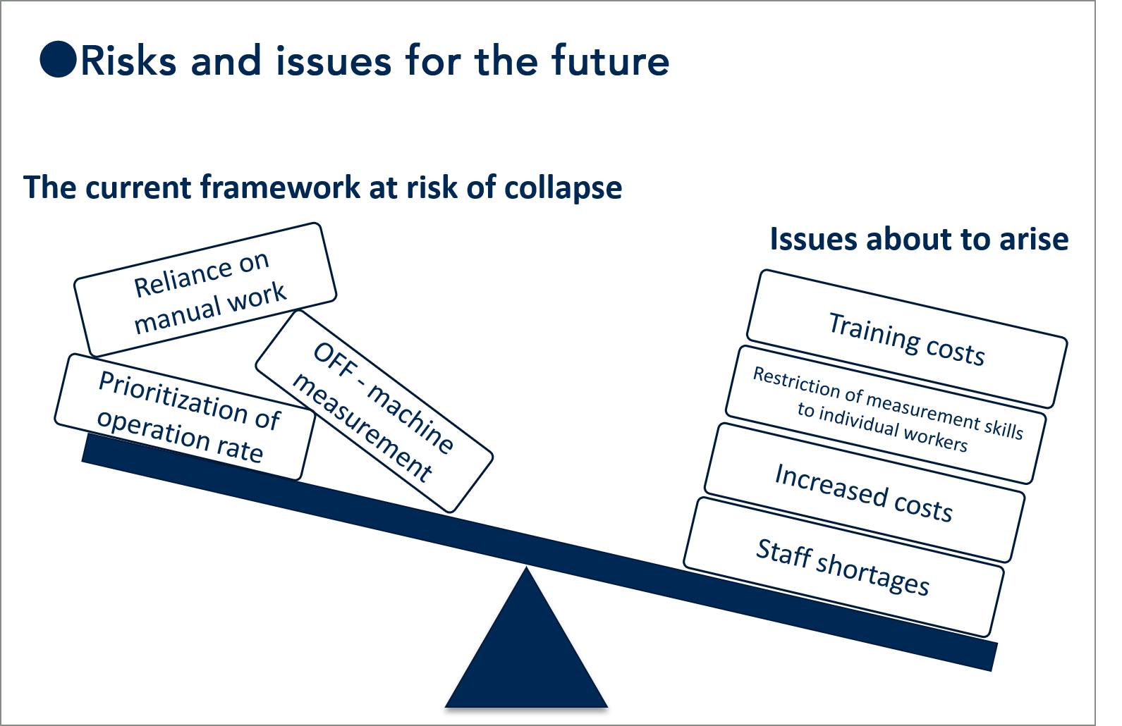 Risks and issues for the future